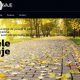 Creare site web Pavele Pavaje