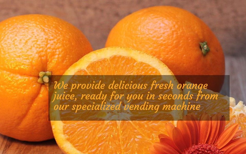 Creare web site pentru aparate suc de portocale, Refresh Corner 4