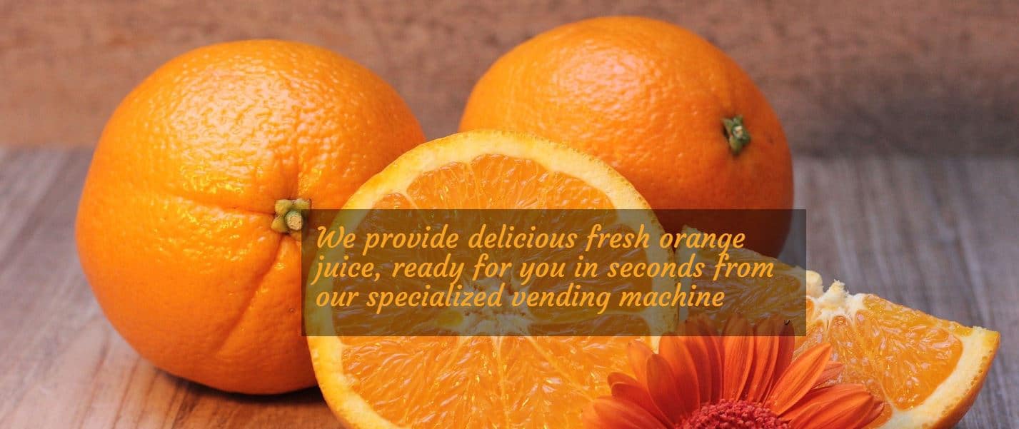 Creare web site pentru aparate suc de portocale, Refresh Corner 13