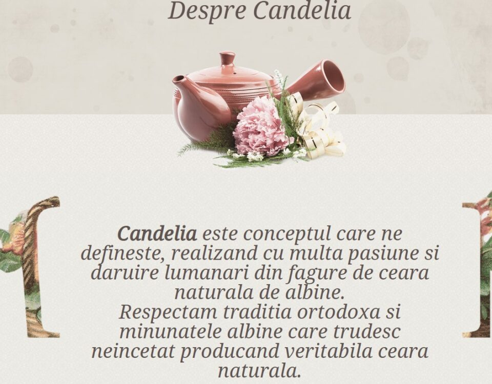 Candelia, Creare website pentru lumanari din ceara naturala 8