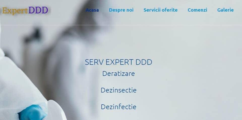 Creare site web pentru firma DDD 6