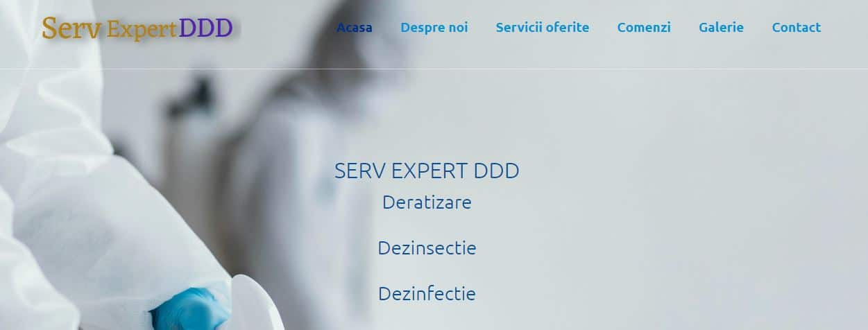 Creare site web pentru firma DDD 13