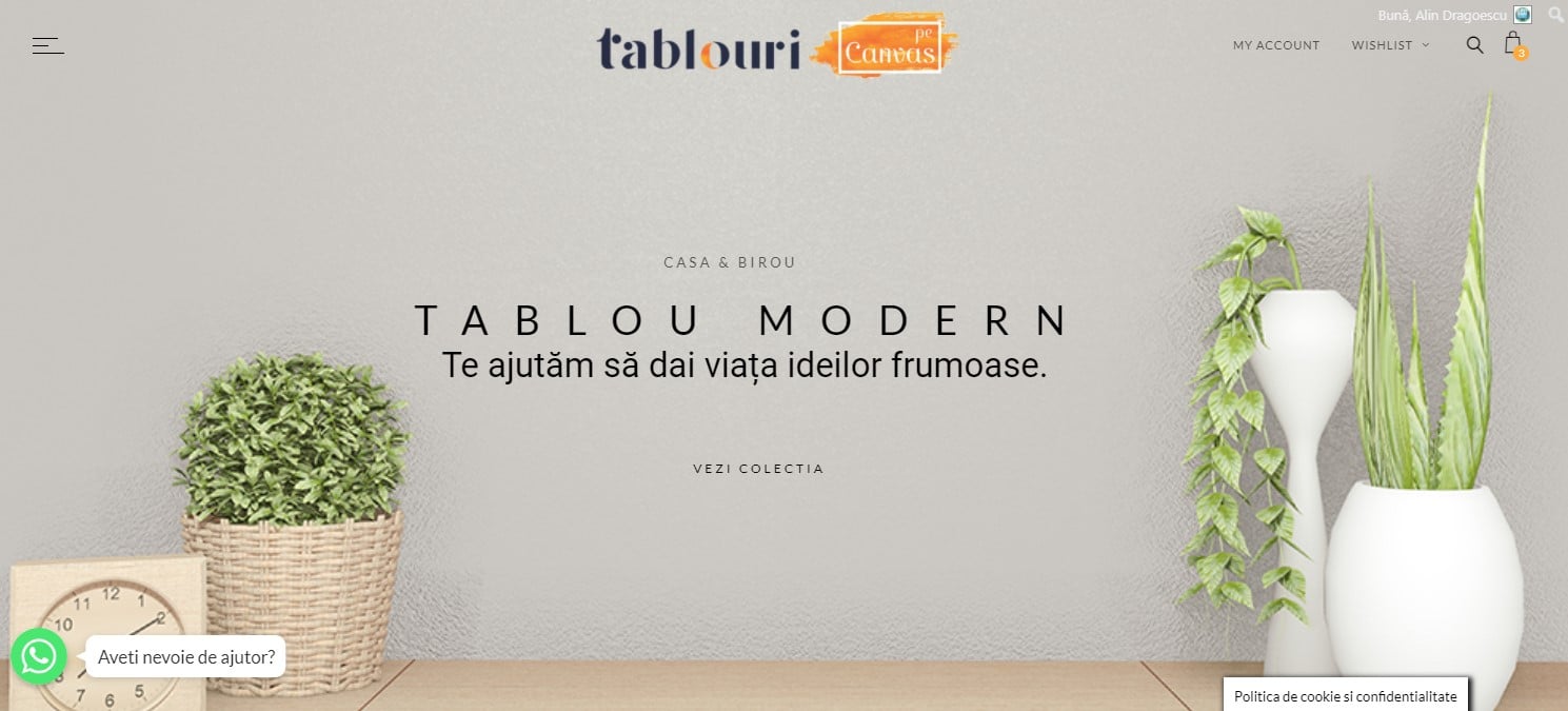 Tabloumodern.ro, tablouri Canvas