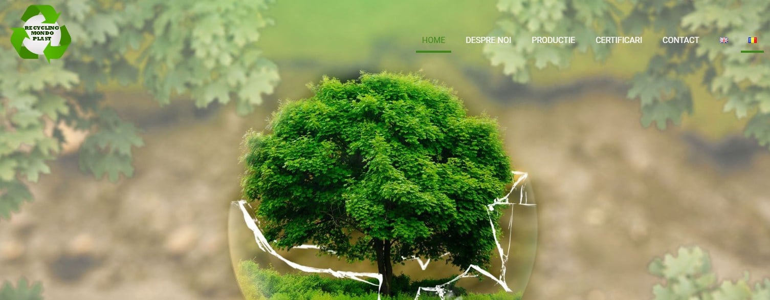 Recyclingmondoplast, Creare site web pentru firma de recliclare 2