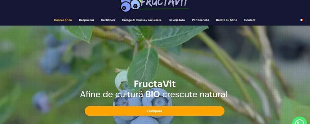 Creare website pentru cultura de afine din Romania 1