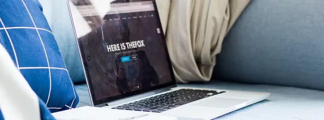 Cum alegi tema perfectă în WordPress: Ghid pentru antreprenori și designeri 2 Cum alegi tema perfectă în WordPress: Ghid pentru antreprenori și designeri